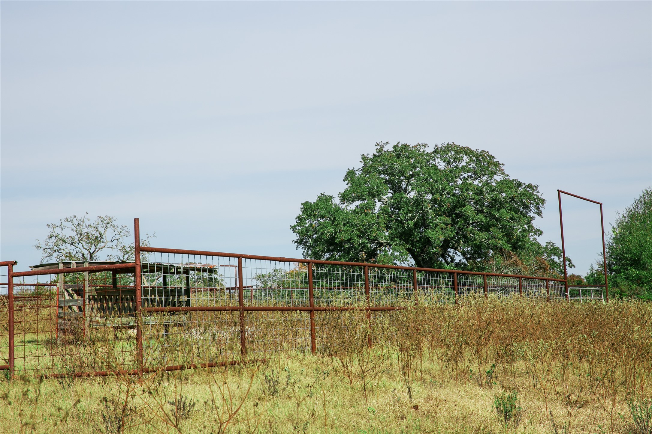 4254 FM 180 Road Ledbetter, TX 78946 - Photo 14 of 17 a view of swimming pool