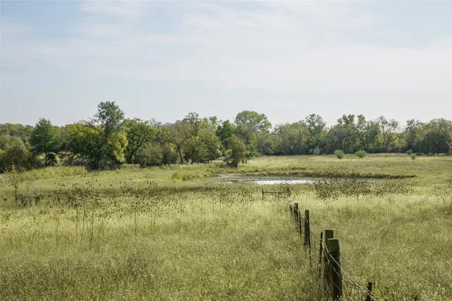 a house view with a backyard space
