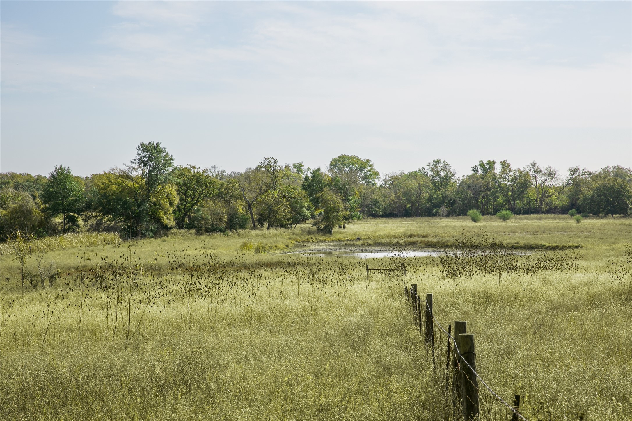 4254 FM 180 Road Ledbetter, TX 78946 - Photo 15 of 17 a view of a lake view