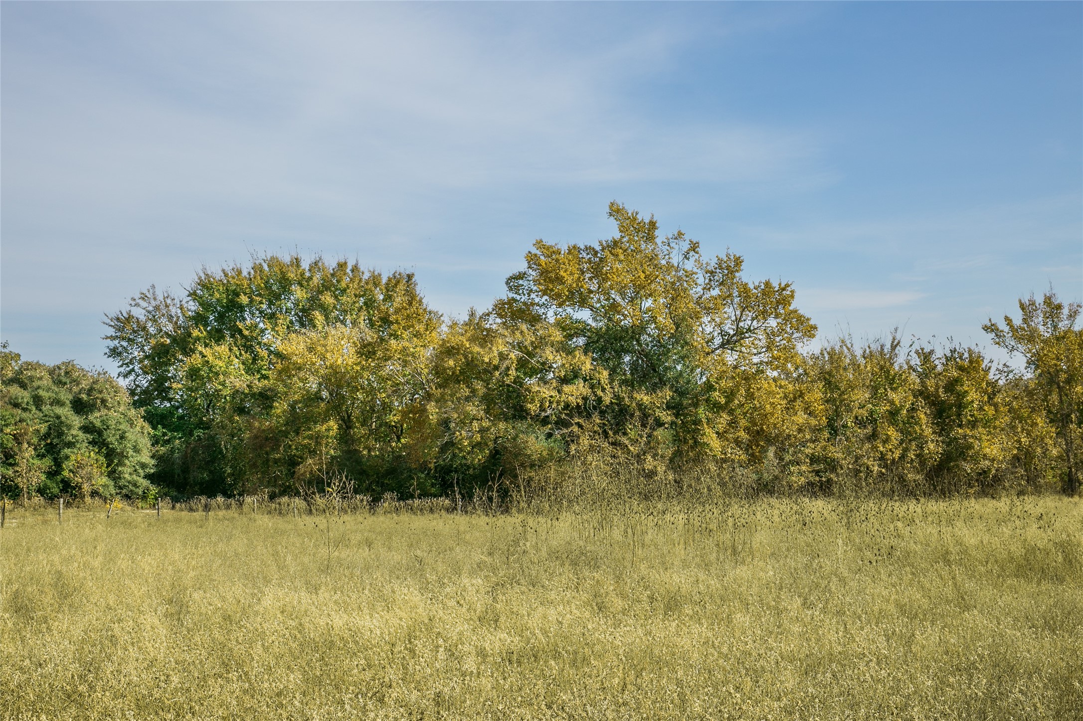 4254 FM 180 Road Ledbetter, TX 78946 - Photo 17 of 17 a view of a lake view