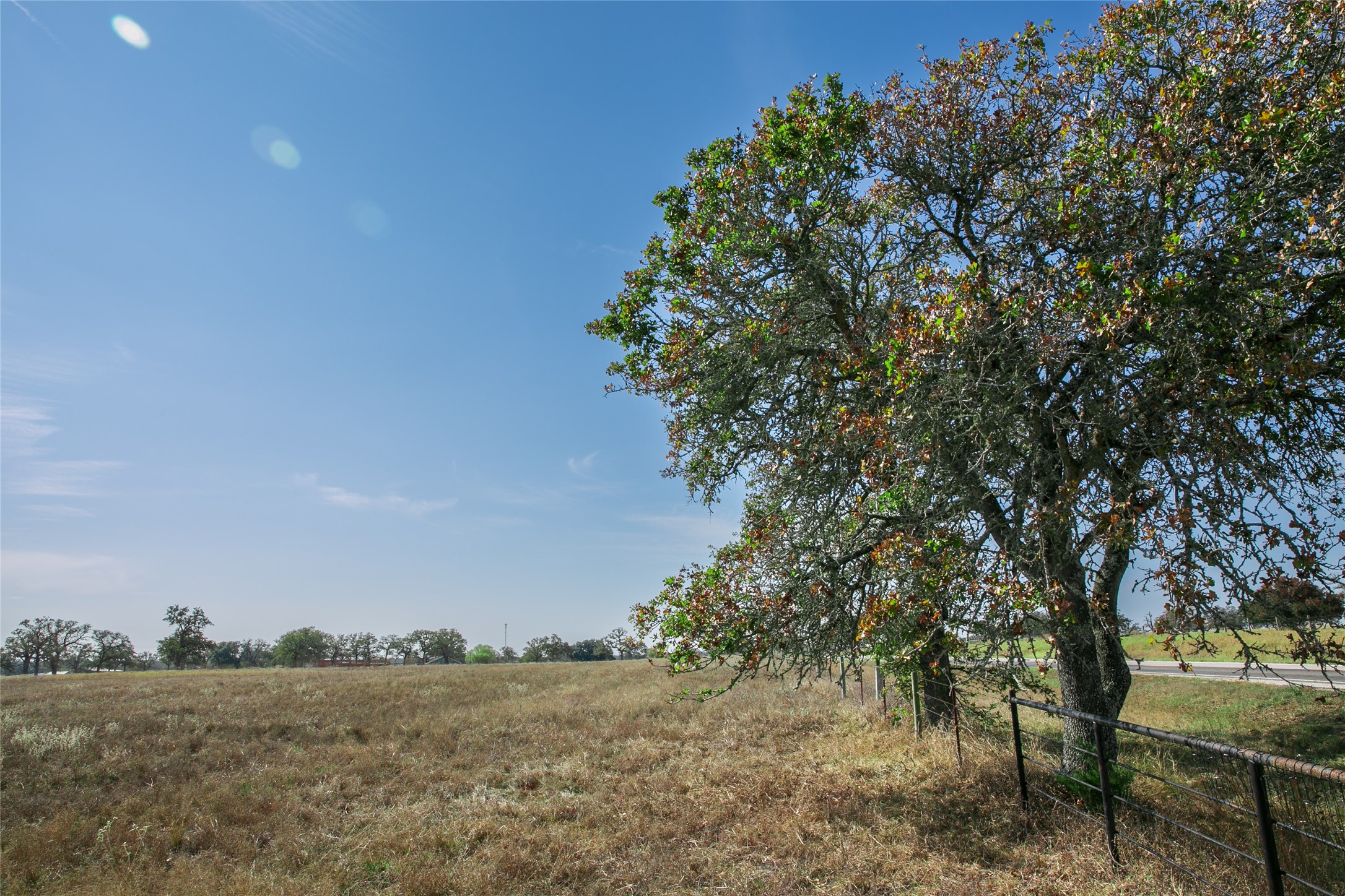 4254 FM 180 Road Ledbetter, TX 78946 - Photo 2 of 17 a view of a field with trees in background
