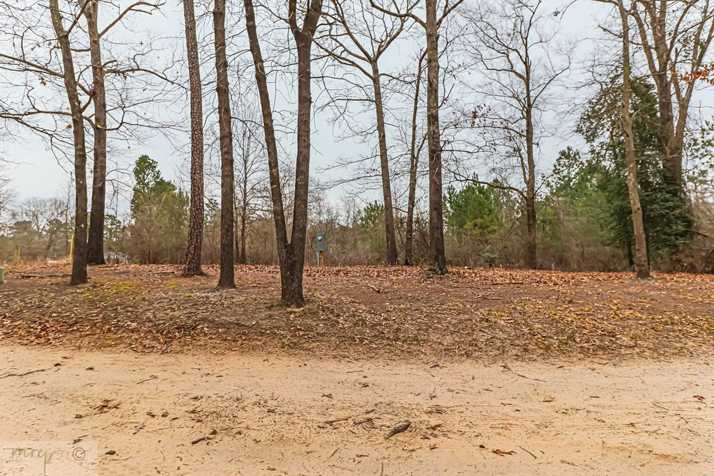 599 Slick Rock Road Goldsboro, NC 27534 - Photo 11 of 45 Gallery Image 11