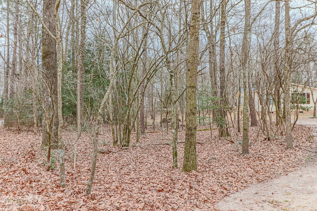 599 Slick Rock Road Goldsboro, NC 27534 - Photo 12 of 45 Gallery Image 12