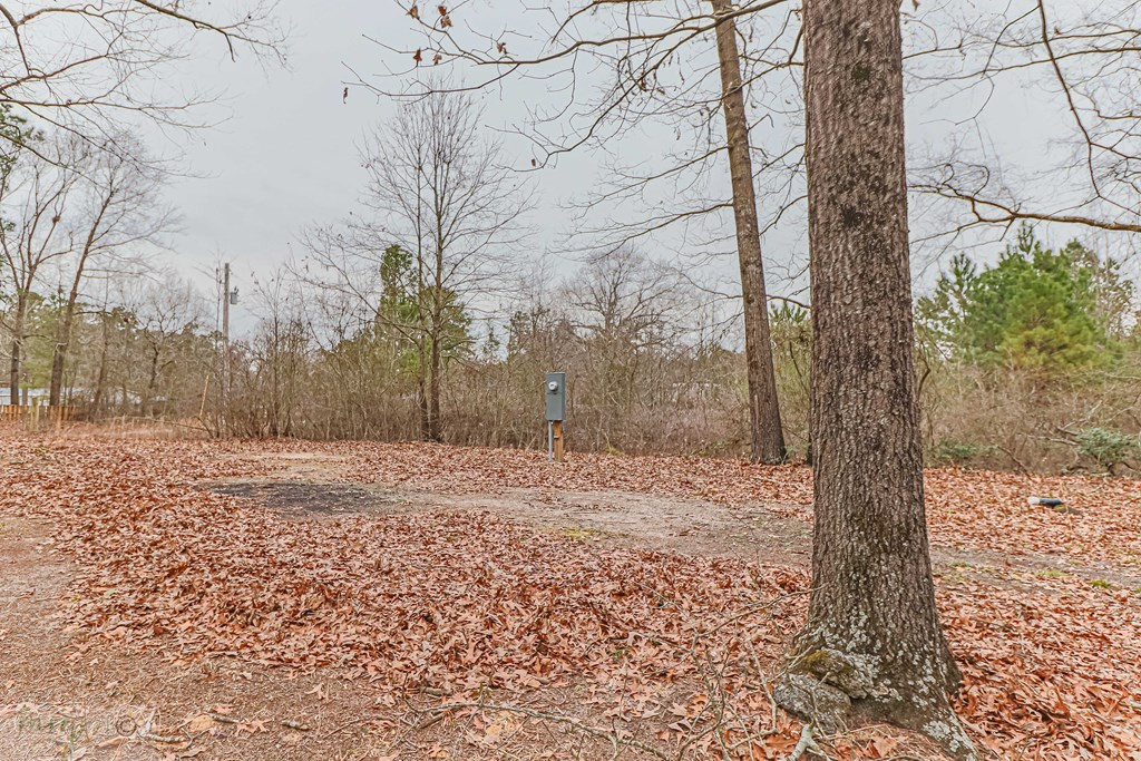 599 Slick Rock Road Goldsboro, NC 27534 - Photo 9 of 45 Gallery Image 9