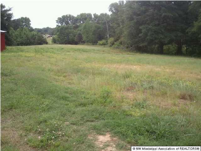 5487 Williams Road Byhalia, MS 38611 - Photo 11 of 17 Additional Photo
