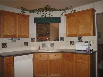 3715 East Snow Road Berrien Springs, MI 49103 - Photo 15 of 24 Additional Photo