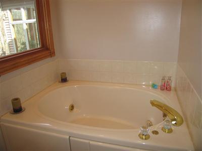 3715 East Snow Road Berrien Springs, MI 49103 - Photo 19 of 24 Additional Photo