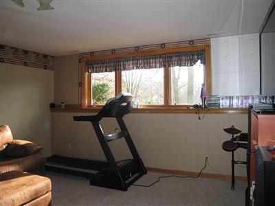 3715 East Snow Road Berrien Springs, MI 49103 - Photo 20 of 24 Additional Photo