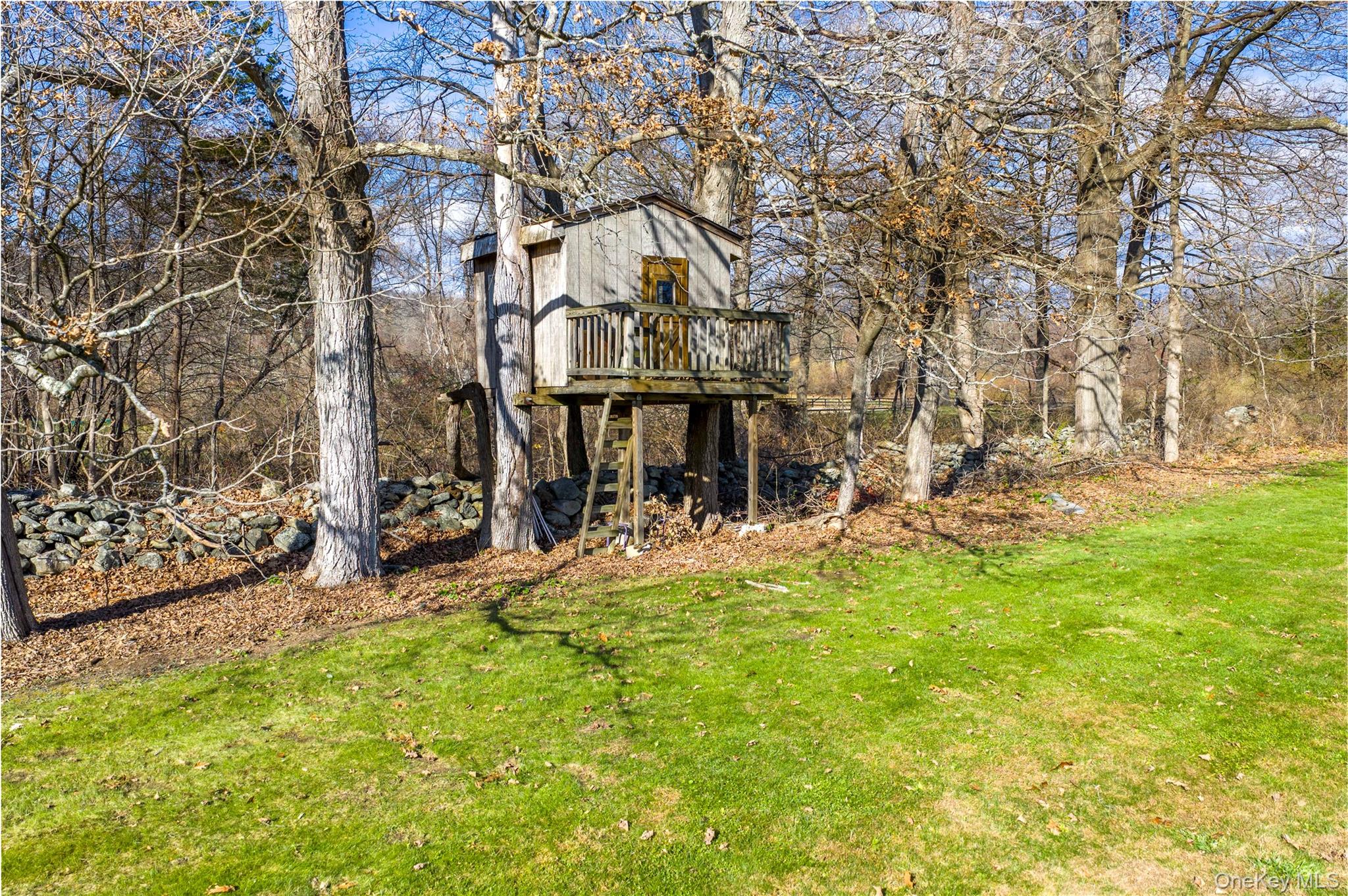9 Caroline Drive Patterson, NY 12563 - Photo 42 of 50 Who doesn't dream of having a tree house!