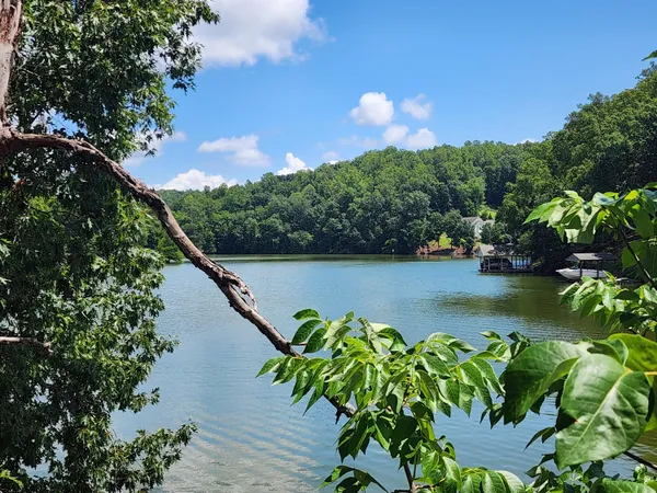 a view of a lake with a floor