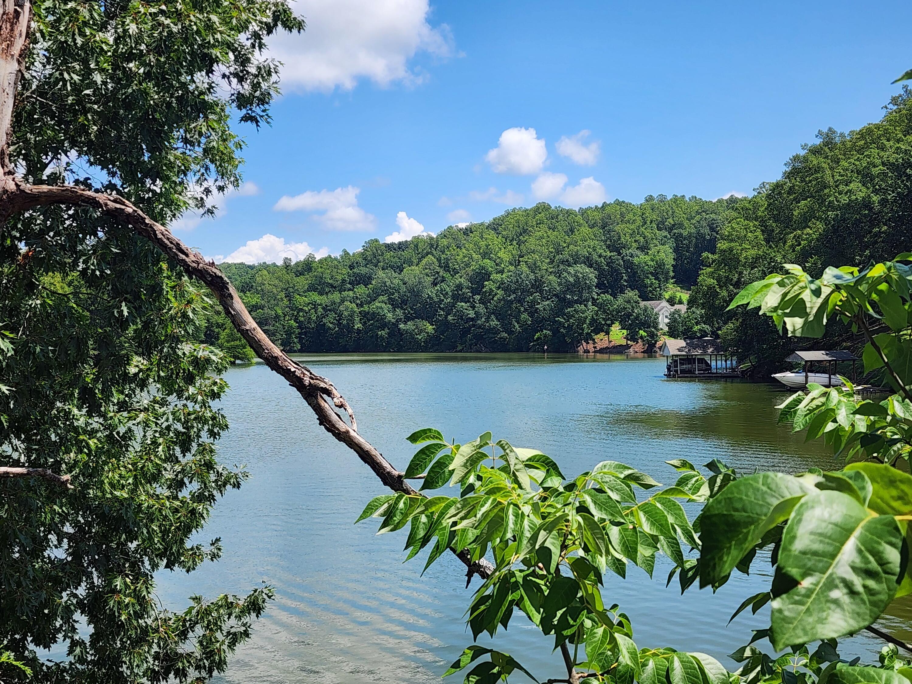 Lot 32 Lake View Point Glade Hill, VA 24092 - Photo 1 of 7 a view of a lake with a floor