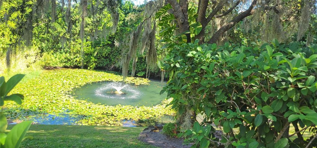 1004 Old Mill Pond Road Palm Harbor, FL 34683 - Photo 2 of 48 a view of a garden with a small yard