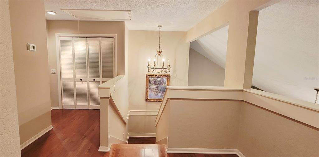 1004 Old Mill Pond Road Palm Harbor, FL 34683 - Photo 31 of 48