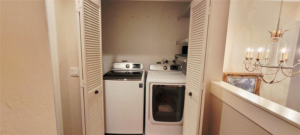 1004 Old Mill Pond Road Palm Harbor, FL 34683 - Photo 32 of 48