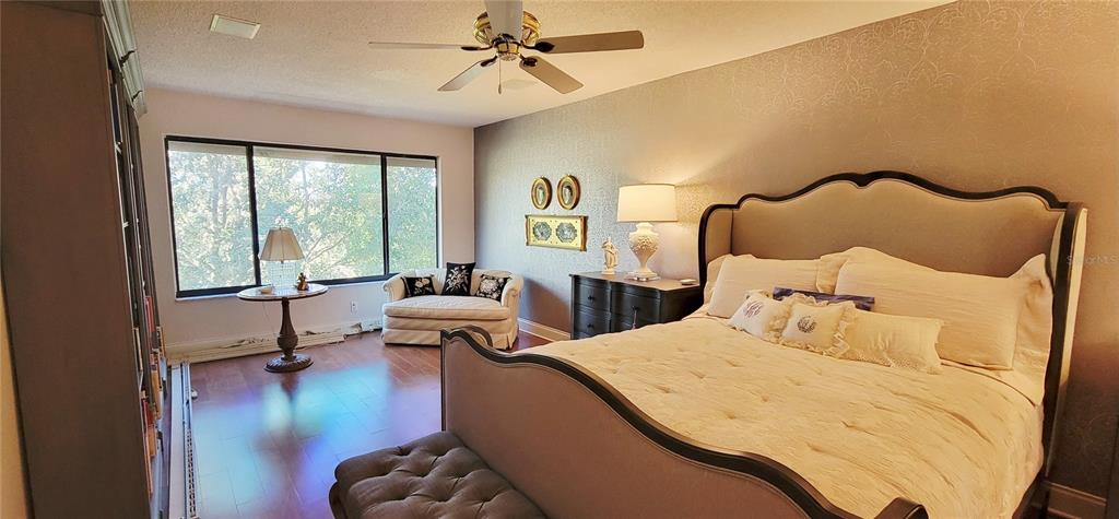 1004 Old Mill Pond Road Palm Harbor, FL 34683 - Photo 34 of 48 a bedroom with a bed and a large window