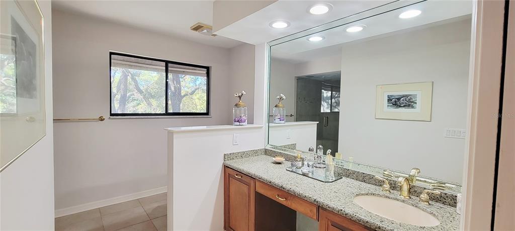 1004 Old Mill Pond Road Palm Harbor, FL 34683 - Photo 39 of 48 a bathroom with a granite countertop sink a large mirror and a window