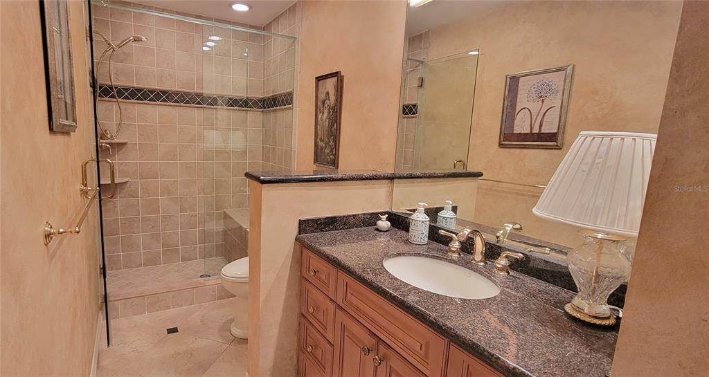 1004 Old Mill Pond Road Palm Harbor, FL 34683 - Photo 46 of 48 a bathroom with a granite countertop sink a mirror and shower