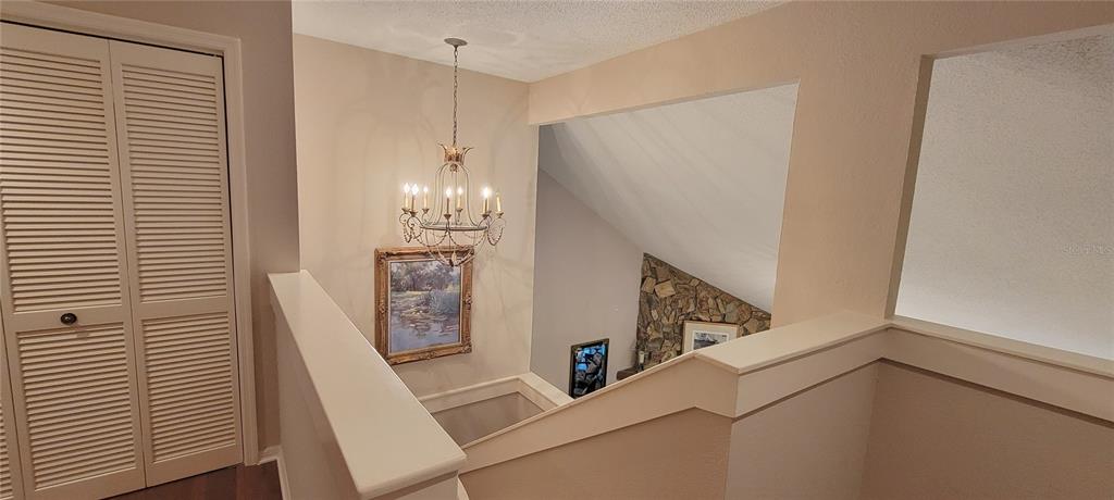 1004 Old Mill Pond Road Palm Harbor, FL 34683 - Photo 48 of 48