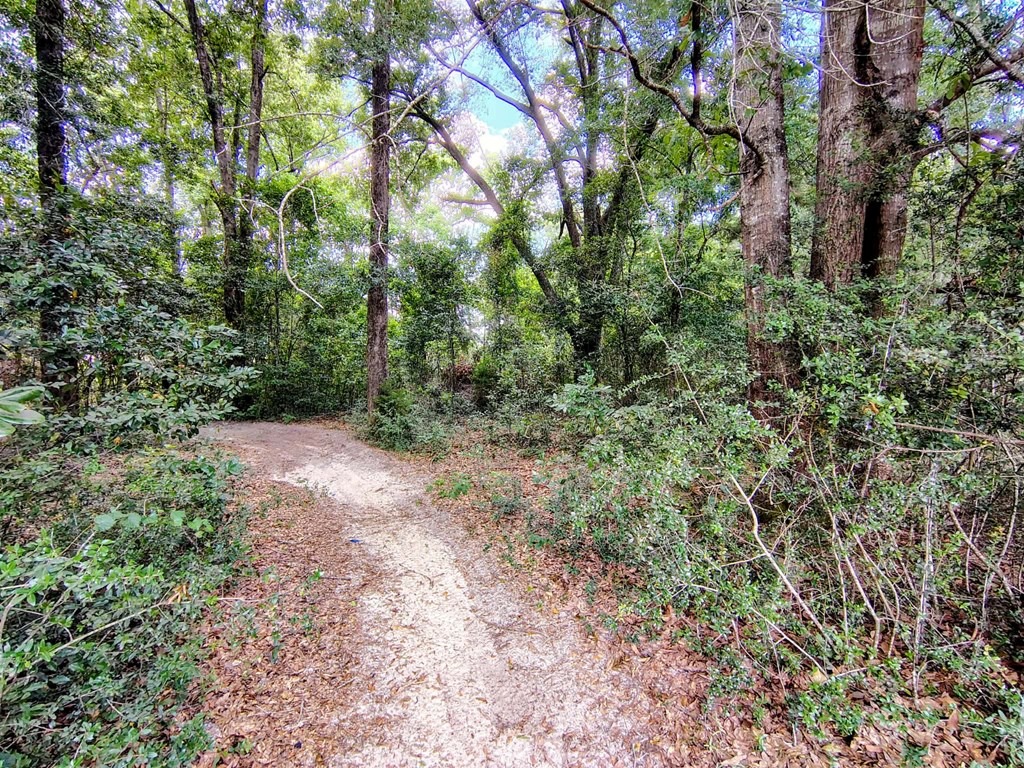 0 Baker Avenue Geneva, AL 36340 - Photo 5 of 8