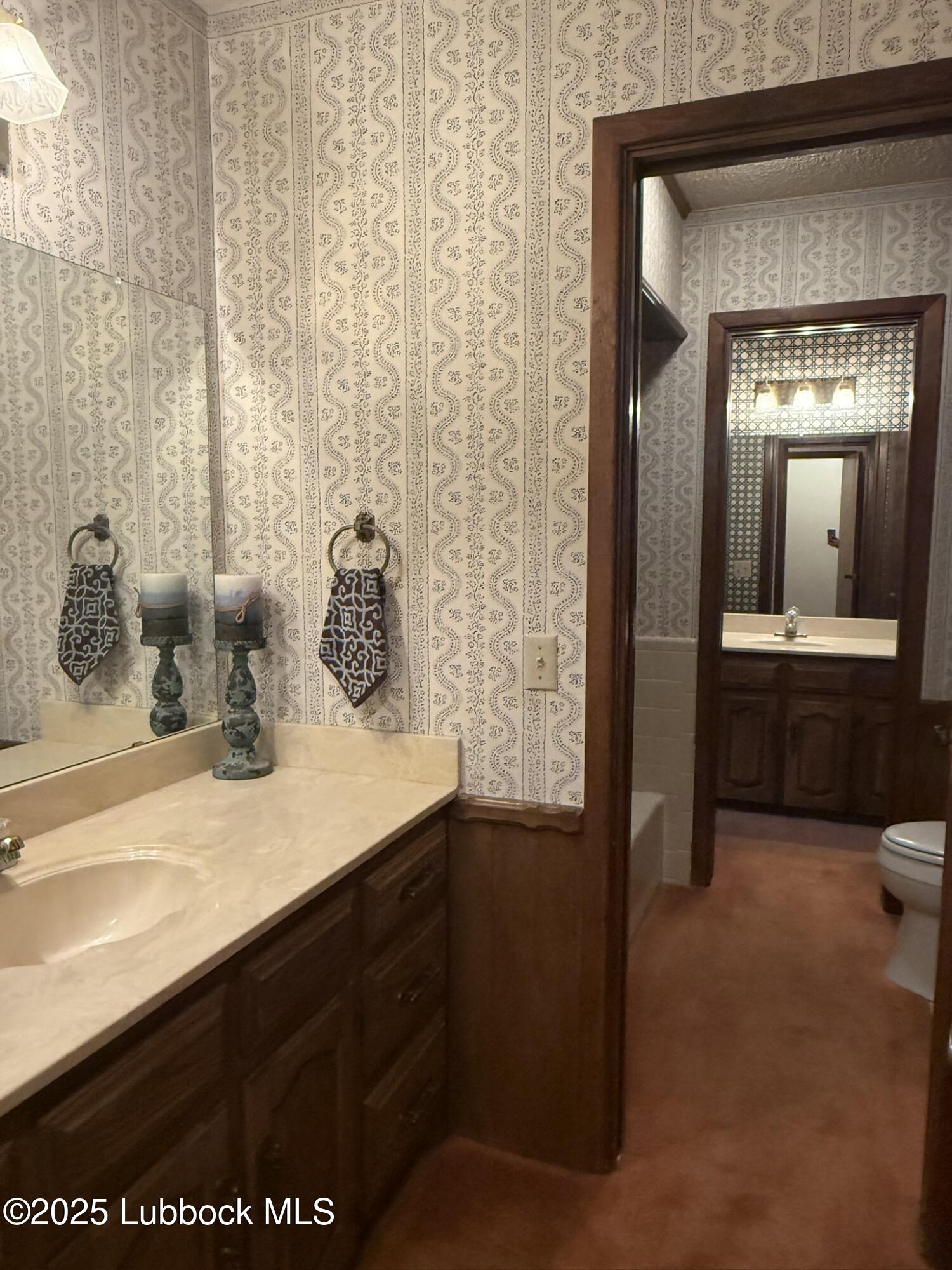 101 Dana Avenue Earth, TX 79031 - Photo 26 of 29 a bathroom with a sink and a mirror