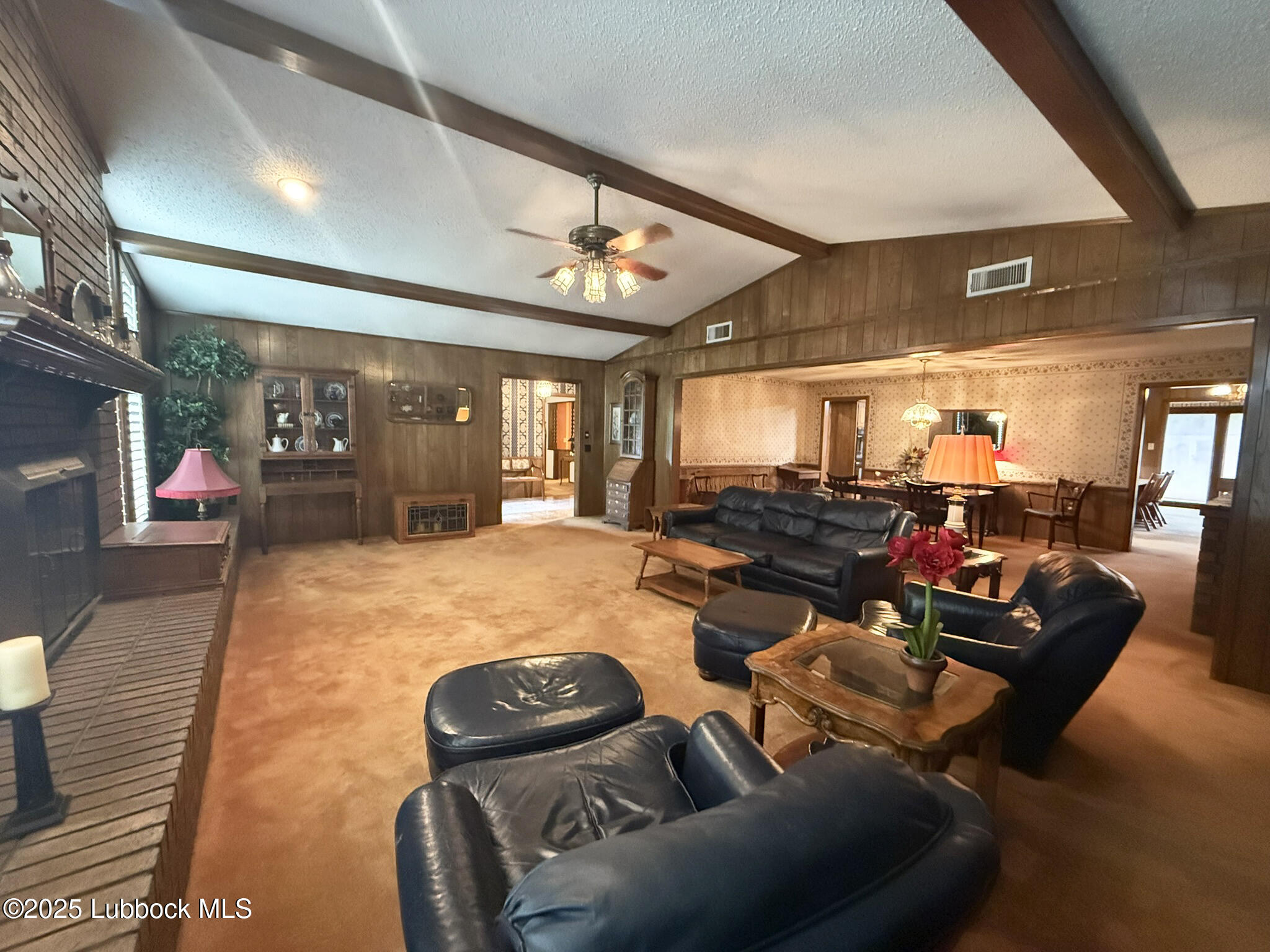 101 Dana Avenue Earth, TX 79031 - Photo 7 of 29