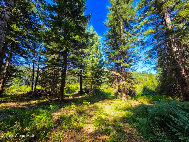 $150,000 | 10 Acres Priest River, Priest River, ID 83856