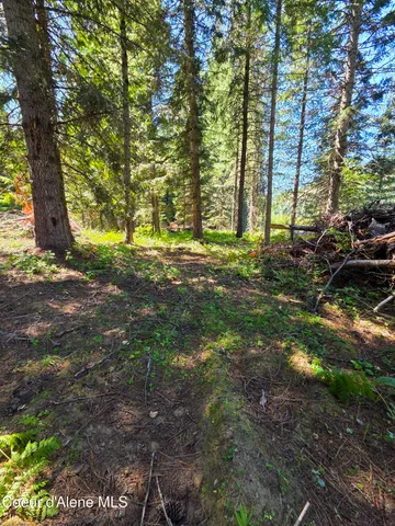$150,000 | 10 Acres Priest River, Priest River, ID 83856