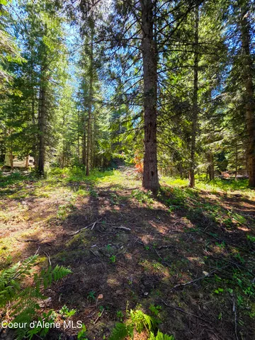 $150,000 | 10 Acres Priest River, Priest River, ID 83856