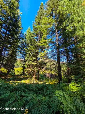 $150,000 | 10 Acres Priest River, Priest River, ID 83856