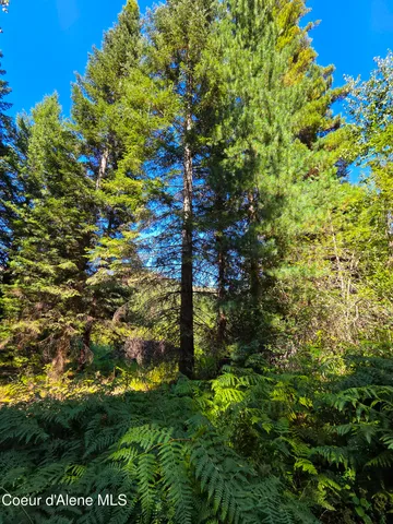 $150,000 | 10 Acres Priest River, Priest River, ID 83856