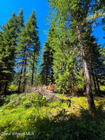 $150,000 | 10 Acres Priest River, Priest River, ID 83856