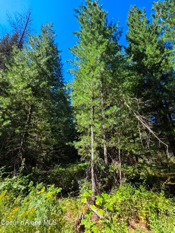 $150,000 | 10 Acres Priest River, Priest River, ID 83856