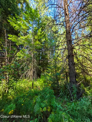 $150,000 | 10 Acres Priest River, Priest River, ID 83856
