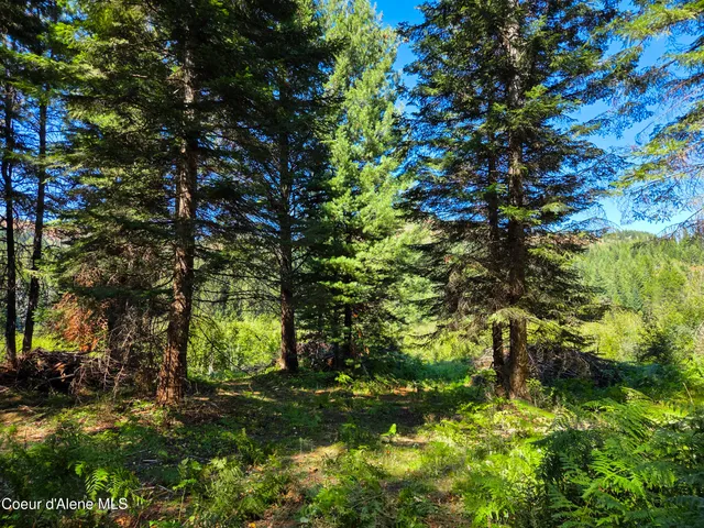 $150,000 | 10 Acres Priest River, Priest River, ID 83856