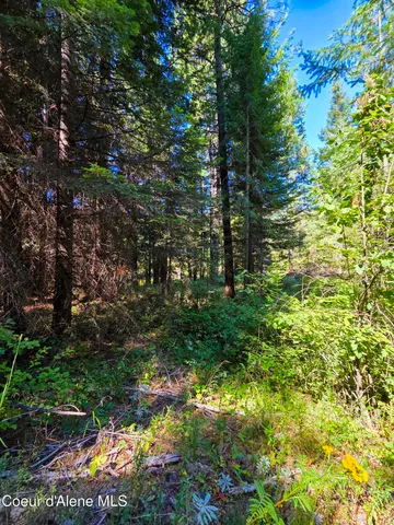 $150,000 | 10 Acres Priest River, Priest River, ID 83856