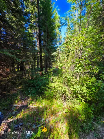 $150,000 | 10 Acres Priest River, Priest River, ID 83856