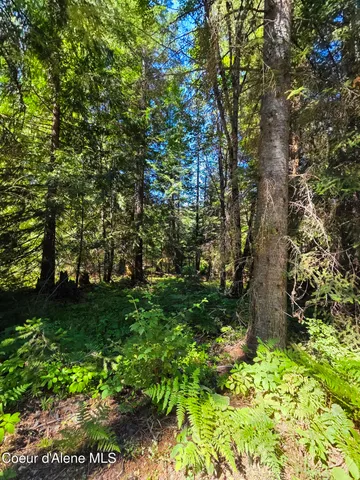 $150,000 | 10 Acres Priest River, Priest River, ID 83856