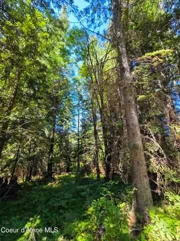 $150,000 | 10 Acres Priest River, Priest River, ID 83856