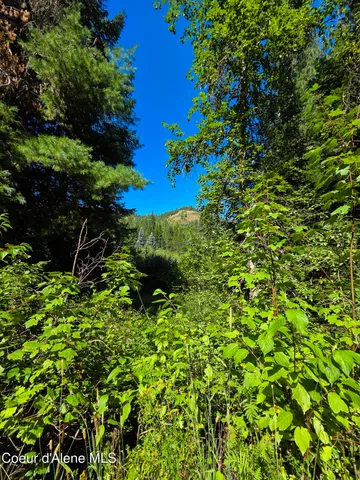 $150,000 | 10 Acres Priest River, Priest River, ID 83856