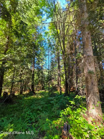 $150,000 | 10 Acres Priest River, Priest River, ID 83856