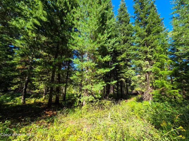 $150,000 | 10 Acres Priest River, Priest River, ID 83856