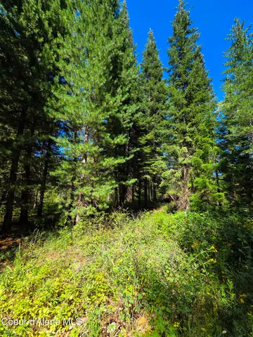 $150,000 | 10 Acres Priest River, Priest River, ID 83856