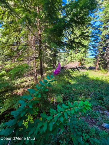 $150,000 | 10 Acres Priest River, Priest River, ID 83856