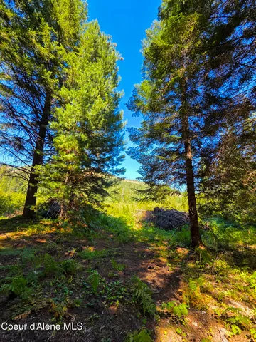 $150,000 | 10 Acres Priest River, Priest River, ID 83856