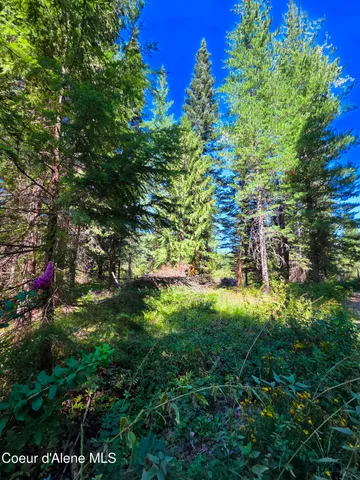 $150,000 | 10 Acres Priest River, Priest River, ID 83856