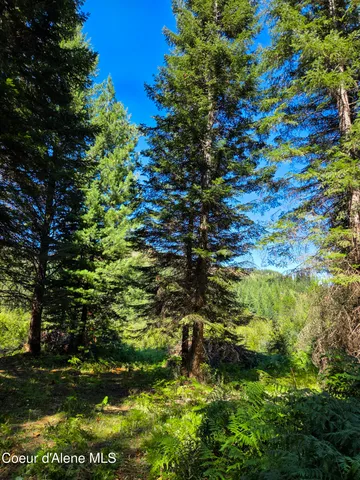 $150,000 | 10 Acres Priest River, Priest River, ID 83856