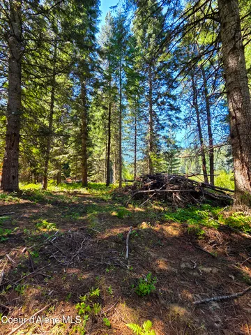 $150,000 | 10 Acres Priest River, Priest River, ID 83856