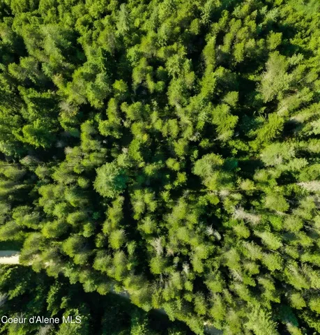 $150,000 | 10 Acres Priest River, Priest River, ID 83856