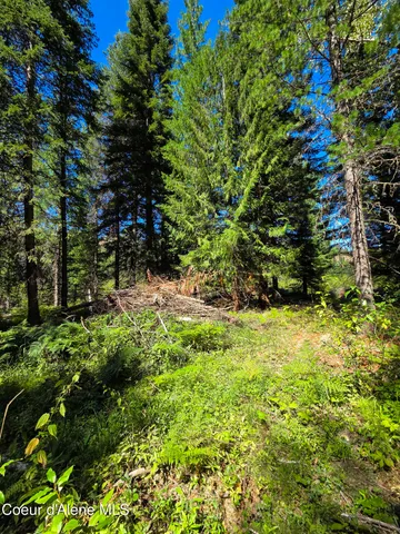 $150,000 | 10 Acres Priest River, Priest River, ID 83856