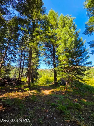 $150,000 | 10 Acres Priest River, Priest River, ID 83856